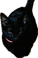 �l�A���낷���ł�