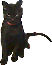 �l�A���낷���ł��I